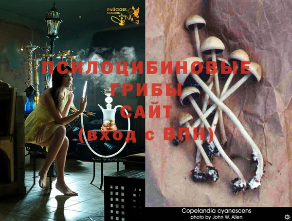 метадон Баксан