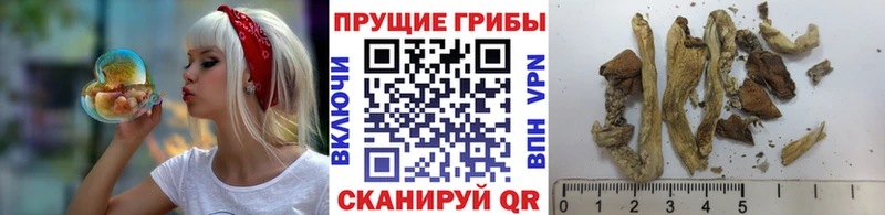 Псилоцибиновые грибы ЛСД  продажа наркотиков  Скопин 